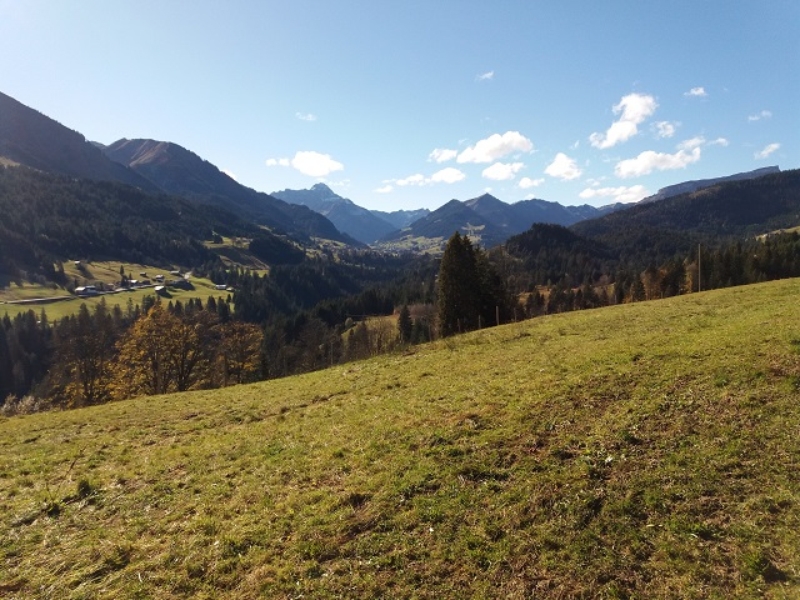 Obermaiselstein 2018 (7)